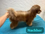 Nachher 1