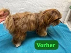 Vorher 1