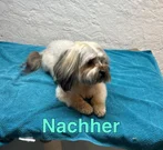 Nachher 2