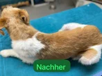 Nachher 3