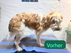 Vorher 3