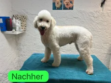 Nachher 4