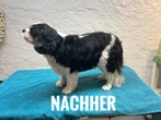 Nachher 5