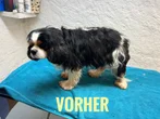 Vorher 5