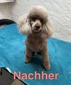 Nachher 6